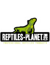 Reptiles Planet