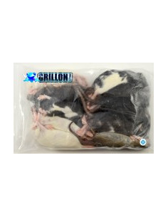 Rats congelés Taille L 91 à 150g en sac de 10