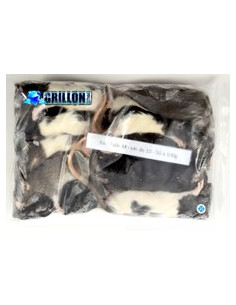 Rats M congelés en sac de 10