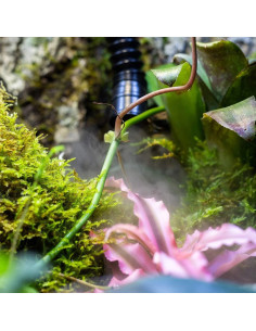 Humidificateur numérique pour reptiles de Repti Zoo 2