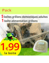 Grillons domestiques adultes 5 boites avec alimentation