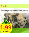 Grillons domestiques adultes 6 boites (environ 240 grillons)