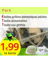 Pack Grillons domestiques adultes 4 boites