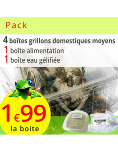Pack grillons domestiques moyens 4 boites (environ 240 grillons)