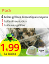 Pack grillons domestiques moyens 4 boites (environ 240 grillons)
