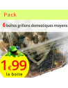 Pack grillons domestiques moyens lot de 6 boites (environ 420 grillons)
