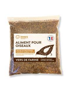 Vers de farine déshydratés 1Kg