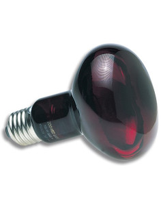 Lampe de nuit infrarouge Zoo Med pour terrarium 2