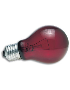 Lampe nocturne rouge 40W Zoo Med pour terrarium 2