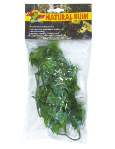 Plante Mexican Phyllo déco pour terrarium 46cm 2