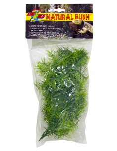 Plante Cashuarina déco pour terrarium 56cm 2