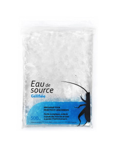 Eau gélifiée naturelle pour insectes