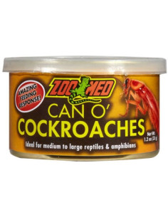 Blattes Red Runner en conserve Zoo Med O'Can