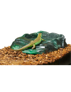 Bol ReptiRamp grand ZooMed pour reptile 2