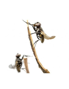 Drosophiles adultes, aliment pour reptiles 2