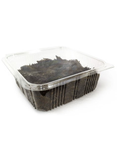 Collembole, nettoyeur vivant pour terrarium reptiles