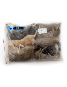 Gerbilles adultes congelés, en sac de 10.